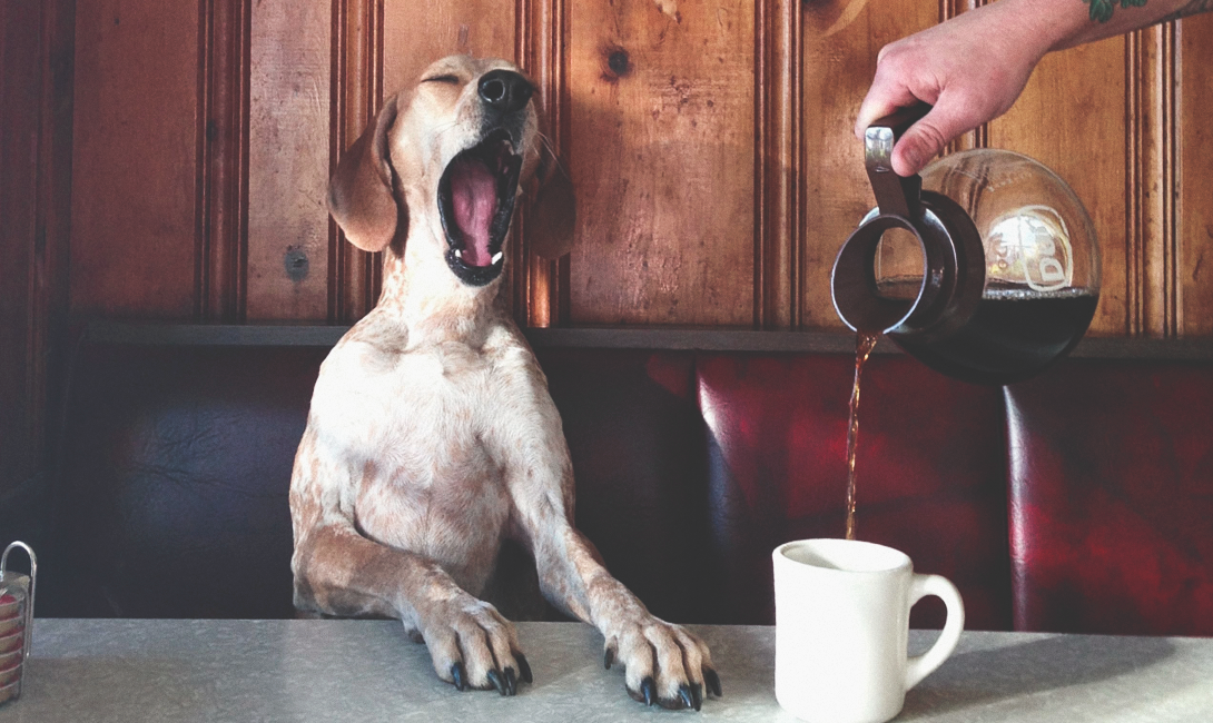 Источник: poradi.com.ua