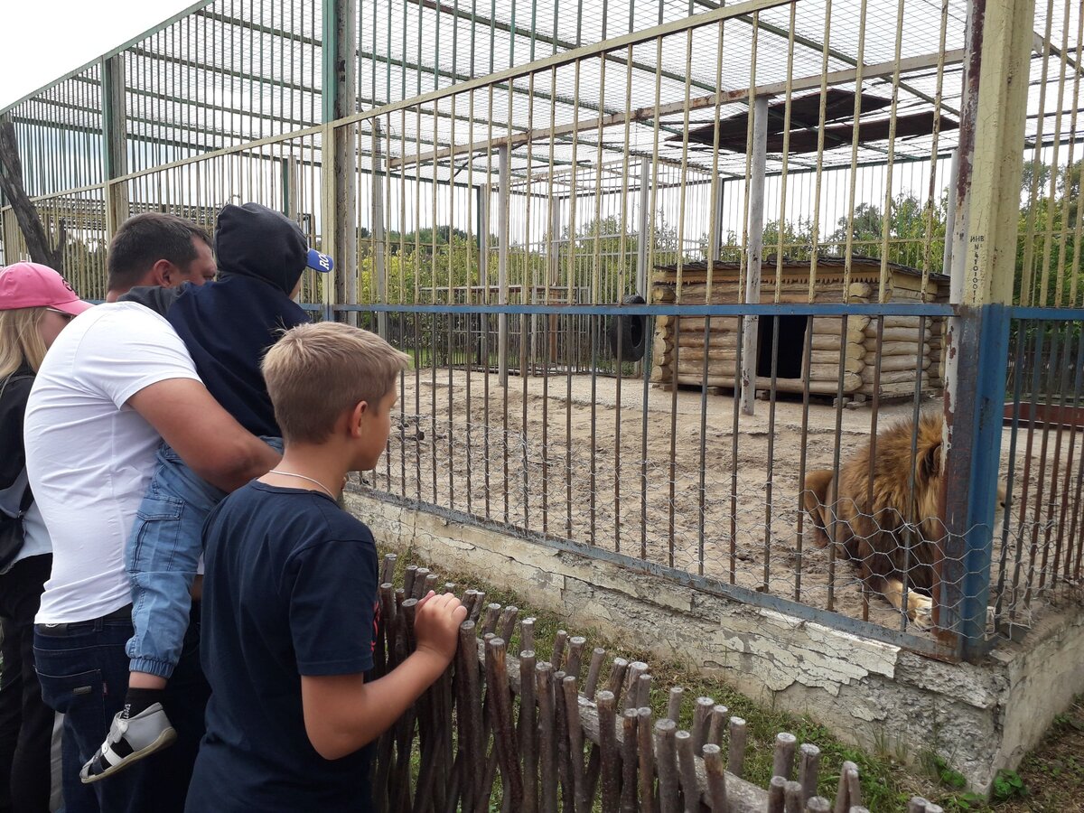 Наше лето 2019. Зоопарк