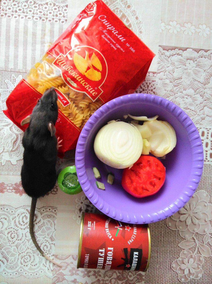 Всё, что нам сегодня понадобится