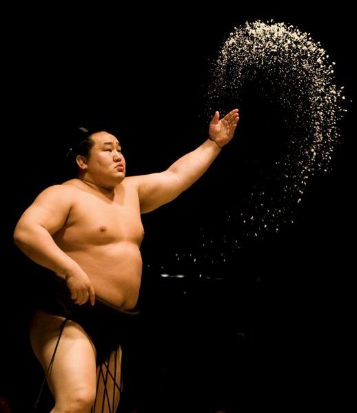 www.japan-sumo.ru