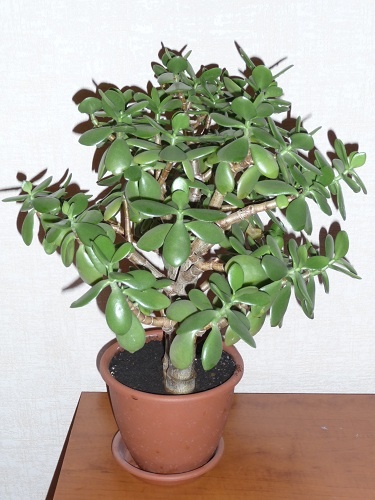 С другого ракурса