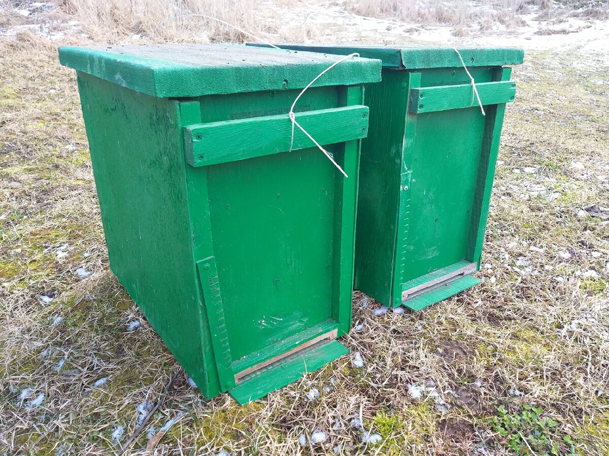 Наши ловушки.