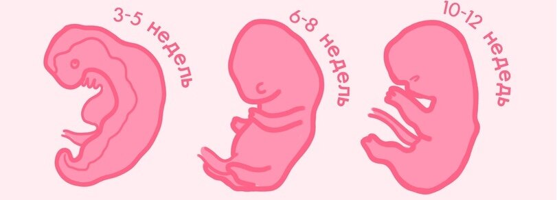 Фото взято из открытого источника