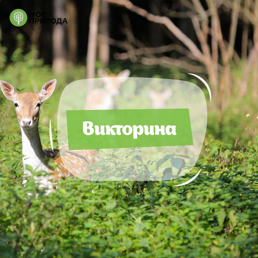 Фото из собственного архива