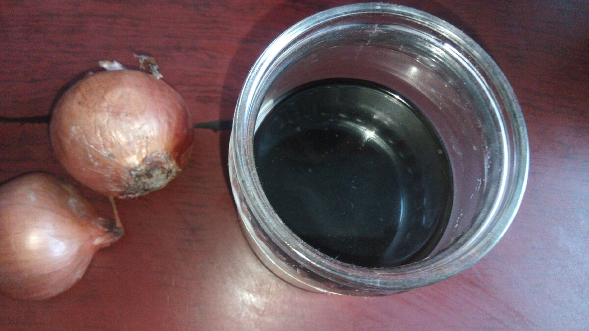 Рецепт полива рассады луковой шелухой. Подкормка томатов луковой шелухой. Настой луковой шелухи для рассады. Луковая шелуха для помидор. Отвар луковой шелухи для рассады.