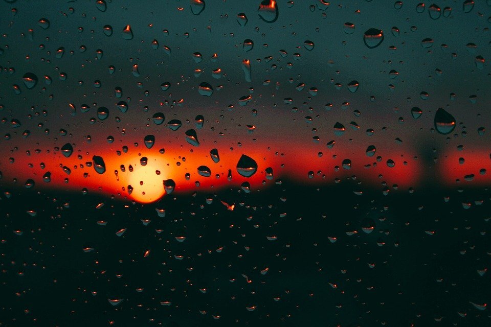 Фото взято с сайта https://pixabay.com/ru/ 