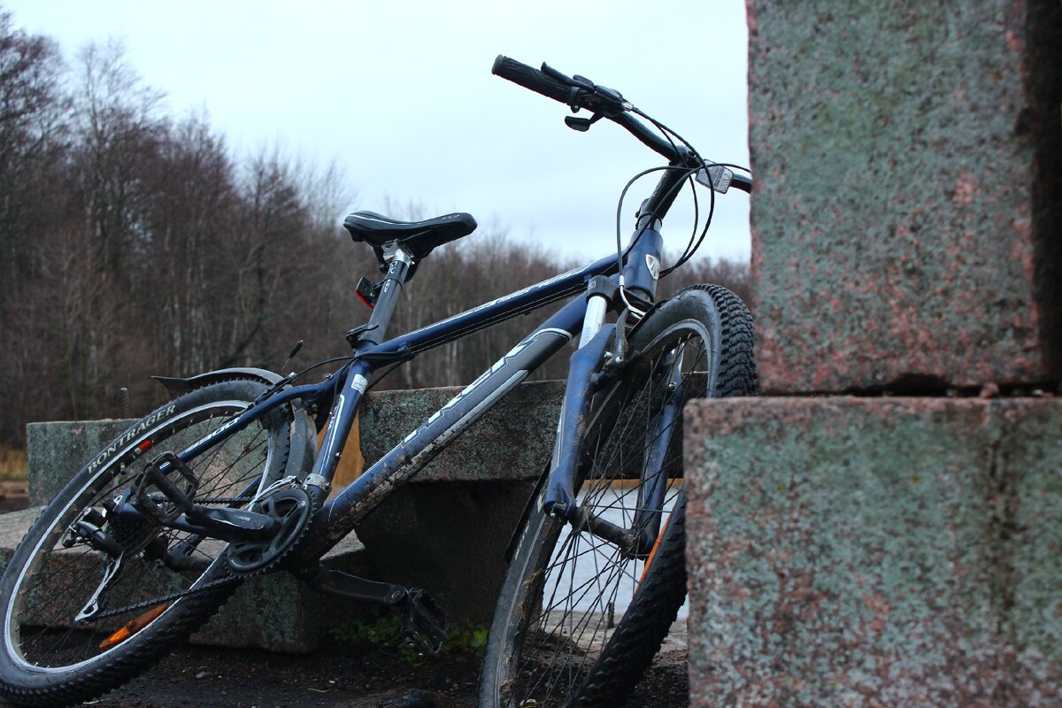 2019 год. Осень. Сестрорецкий разлив.