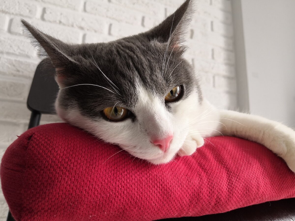 Ну теперь то ты не будешь меня бесить?