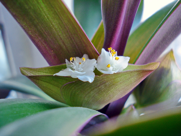 Фото взято с открытого доступа интернет