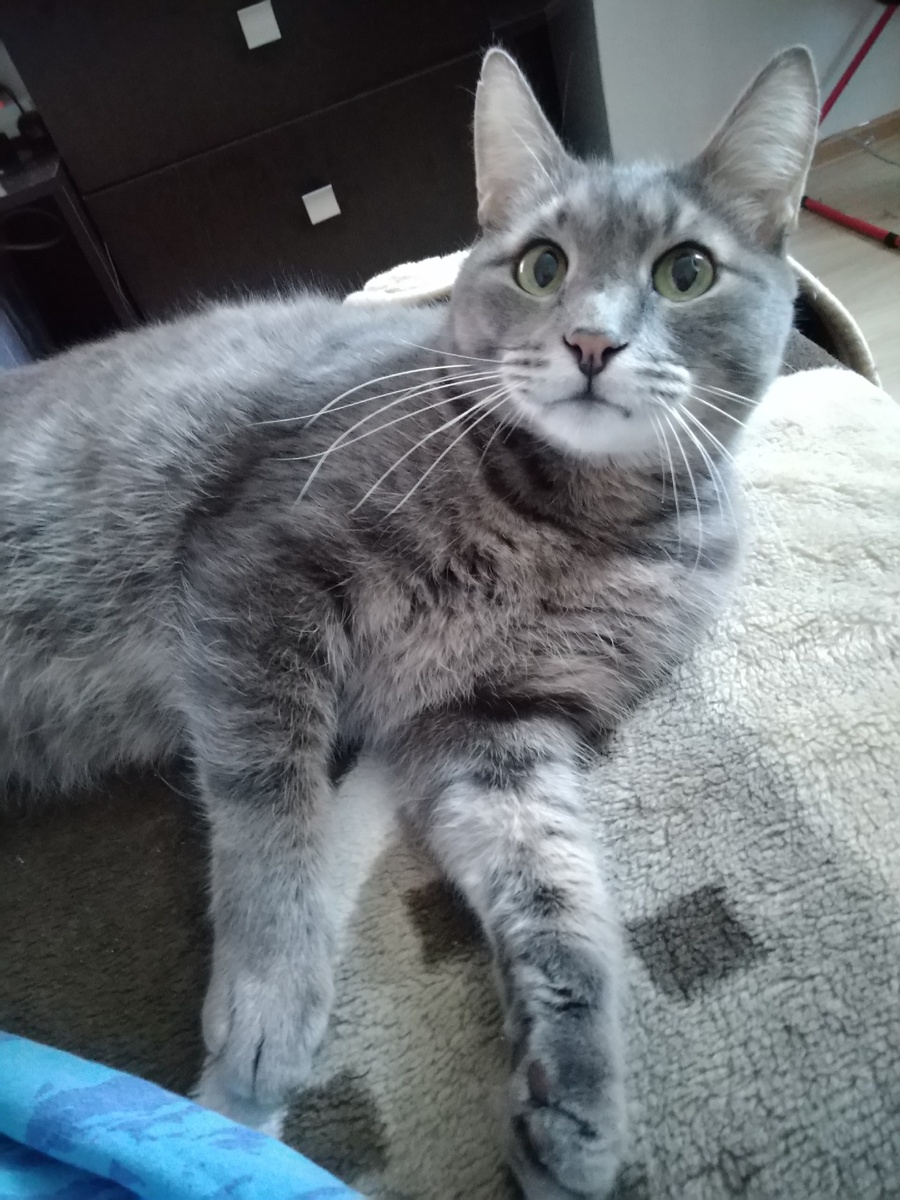 Наш первый постоялец - Дима 