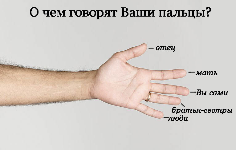 Мы сами, своими мыслями, формируем качество нашего тела.