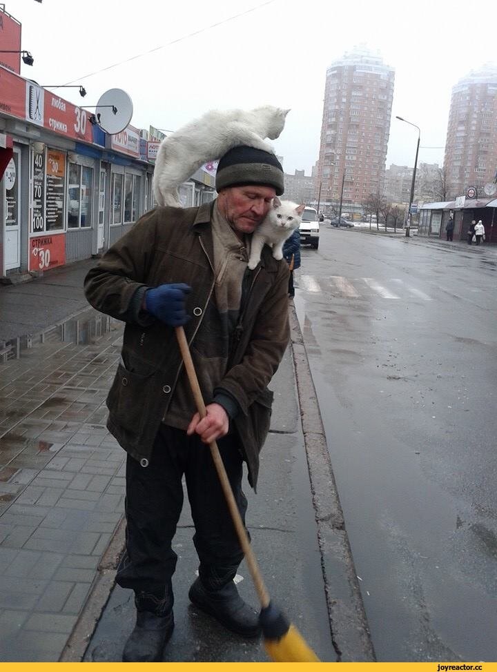 Про дворника. Дворник. Смешной дворник.