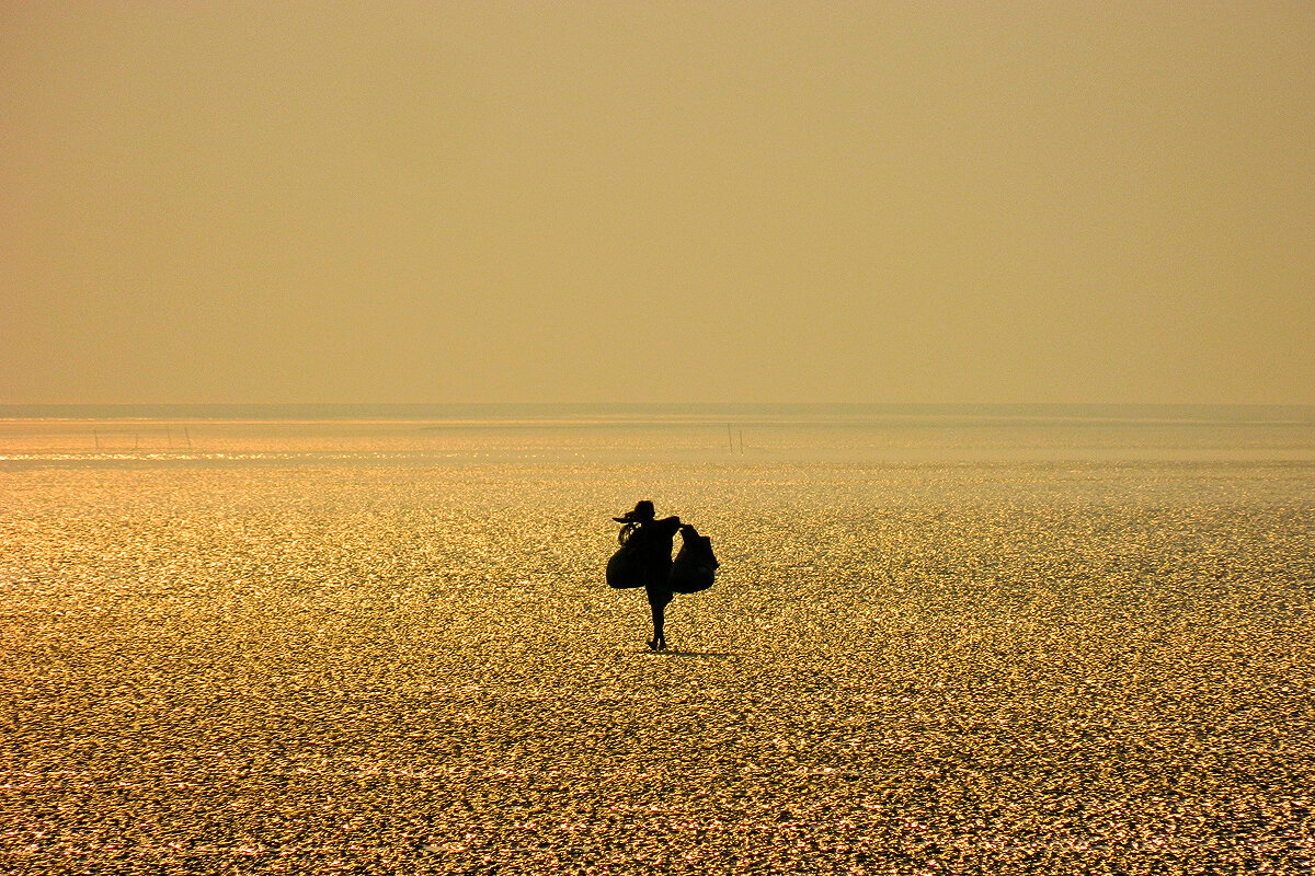 Чандипур,Индия