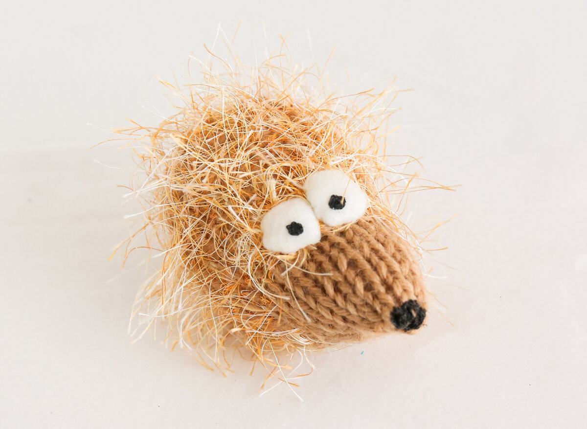 Всклокоченный Ёж. Умолял не фоткать беспорядок.