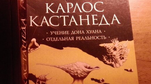 Кастанеда учение дон хуана слушать. Кастанеда учение Дона Хуана отдельная реальность. Море Дона Хуана. Карлос Кастанеда учение Дона Хуана содержание.