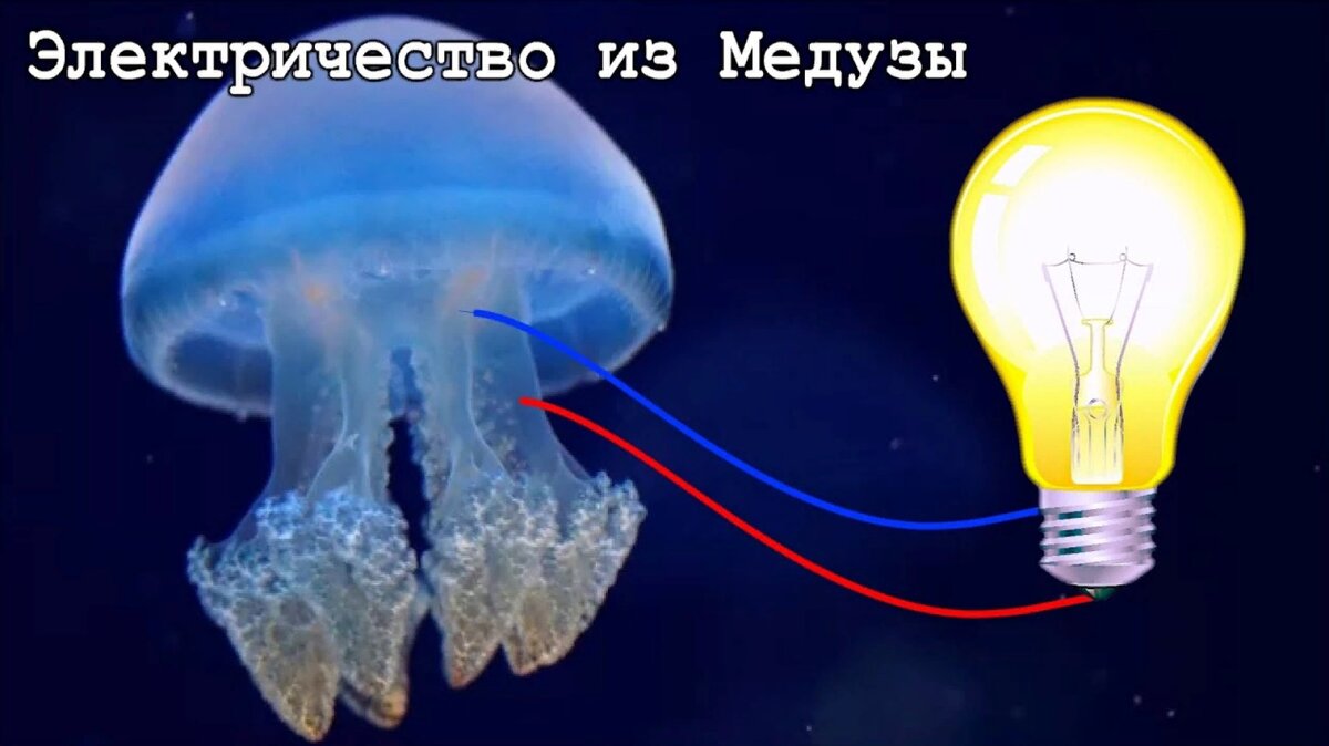 БАТАРЕЙКА ИЗ МЕДУЗЫ