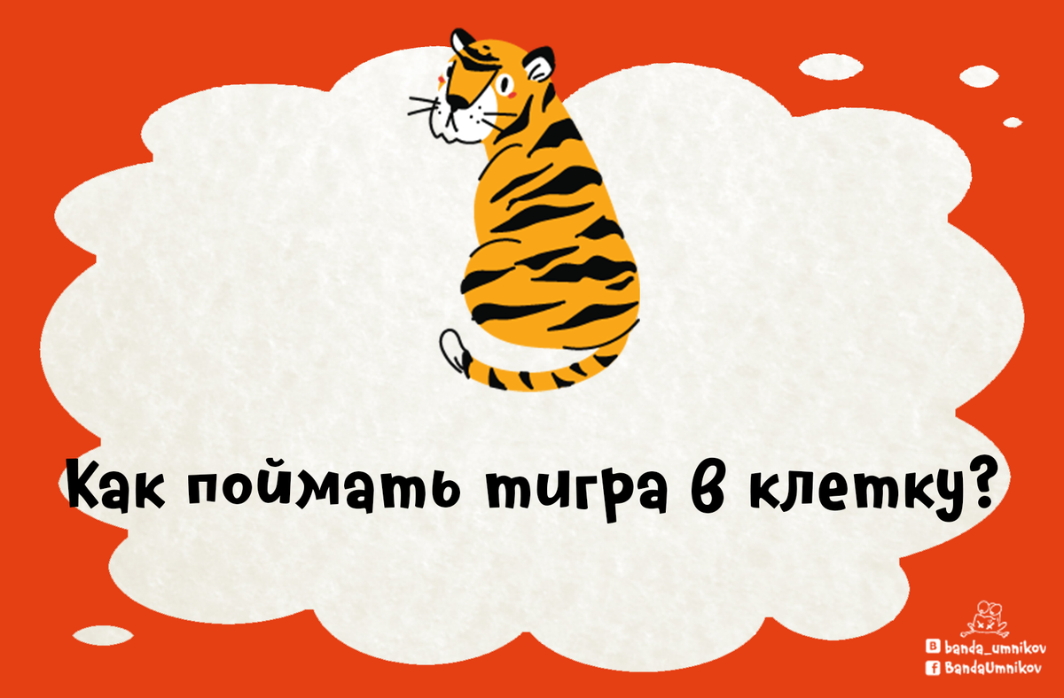 Как поймать тигра в клетку? 🐅 | Банда умников | Дзен