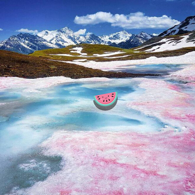 "Арбузный снег" 