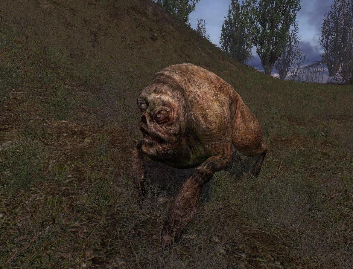 Яндекс картинки