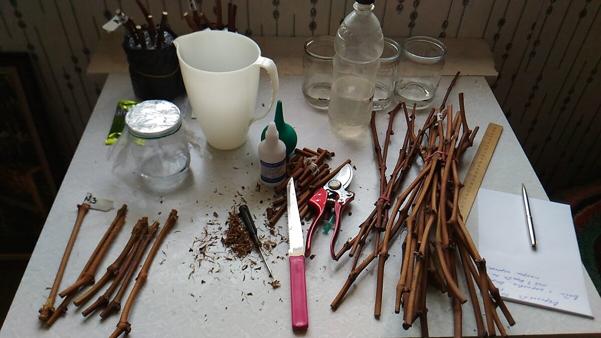 Рабочая обстановка на столе виноградаря 