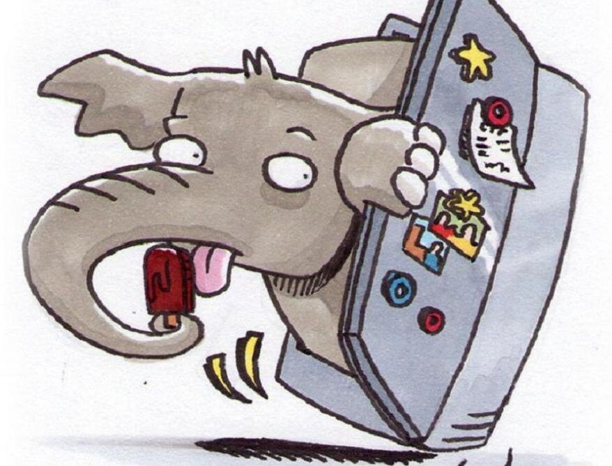 Фото предоставлено из общего доступа