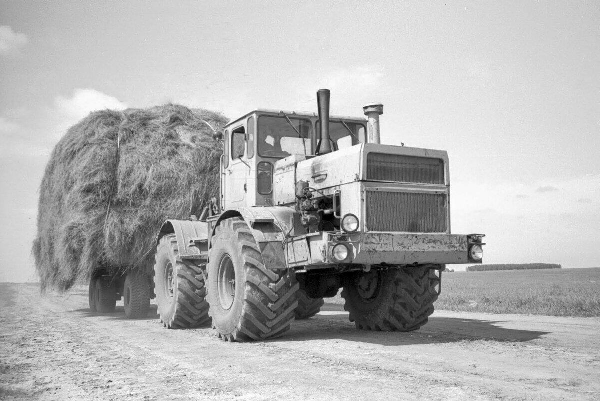 Фото: Яндекс. Картинки.