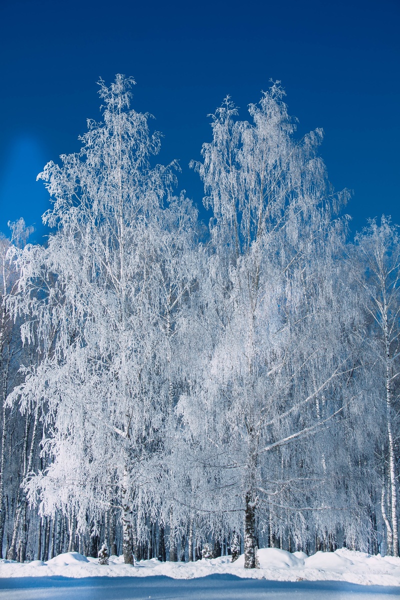 Кадры сделаны на мой первый фотоаппарат
