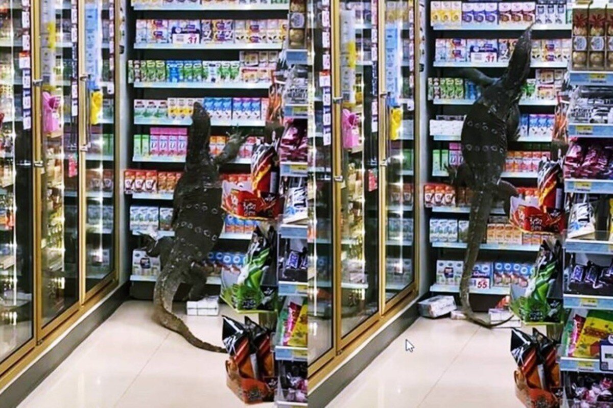 Продуктовые магазины тайланда