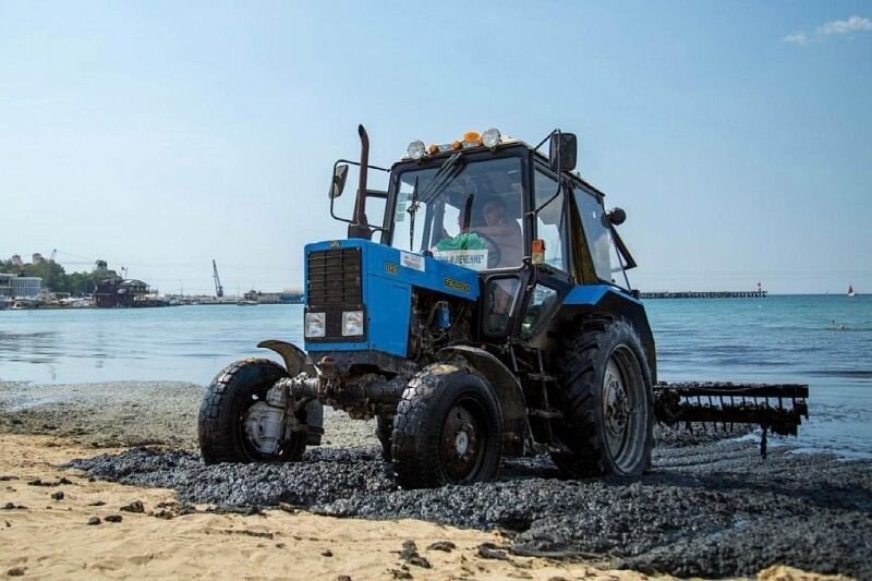 В Анапе есть еще одна проблема – водоросли, которые появляются с началом летних отпусков.  Чем выше температура воздуха, тем больше вероятность того, что море будет цвести. Кладофора (так называется водоросль) пугает отдыхающих не только своим видом и запахом – многим банально неприятно в ней плавать. Так что Центральный пляж курорта для отдыха подойдет разве что в мае и первой половине июня, а дальше море превращается в настоящий борщ.