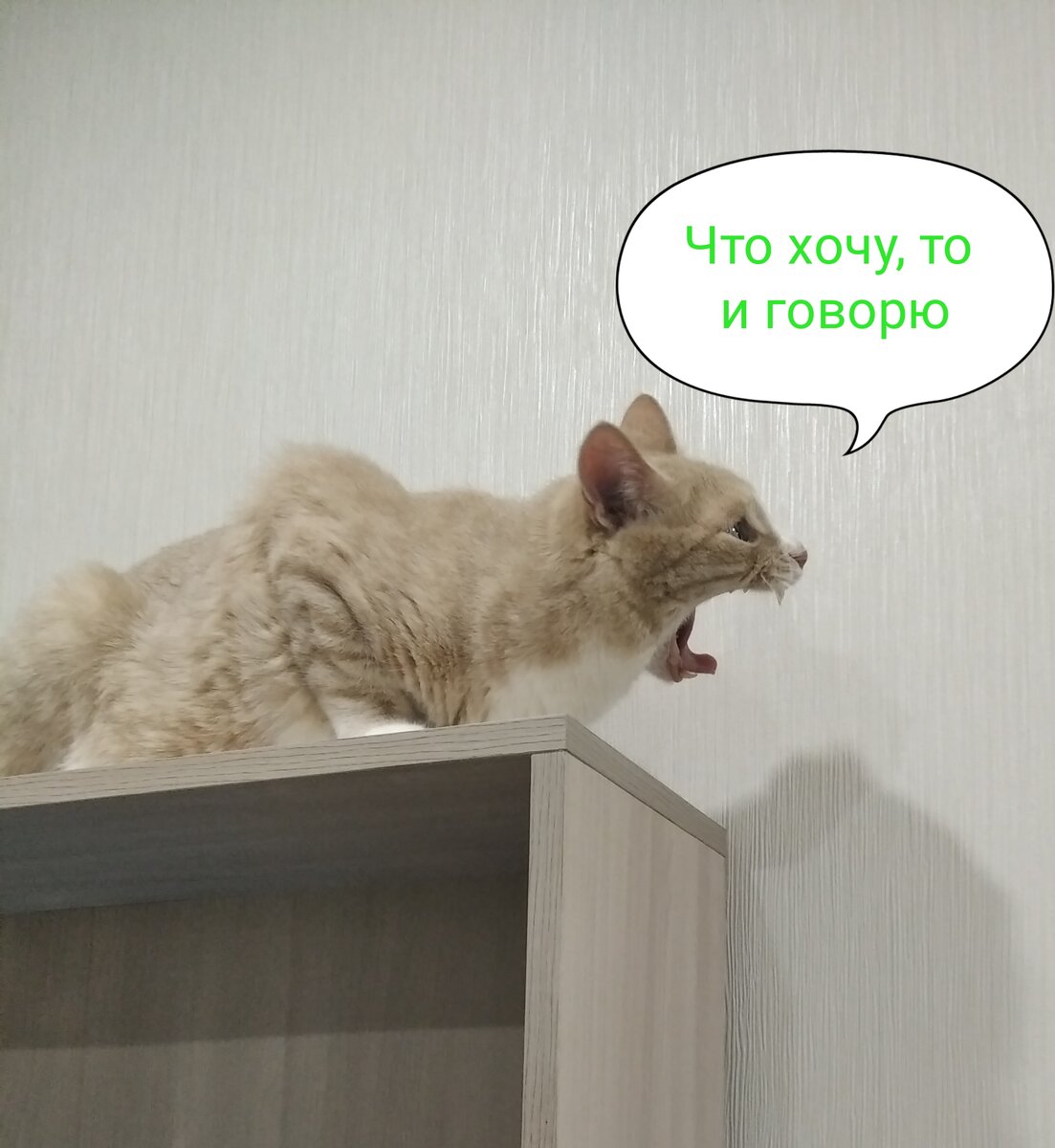 Взято из личного архива