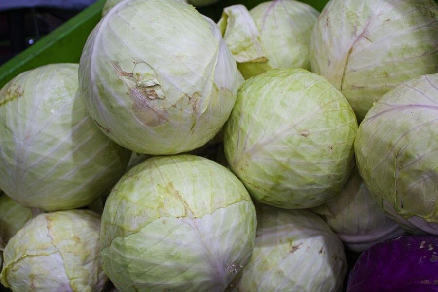 Как солить капусту: топ-10 рецептов закваски капусты на зиму