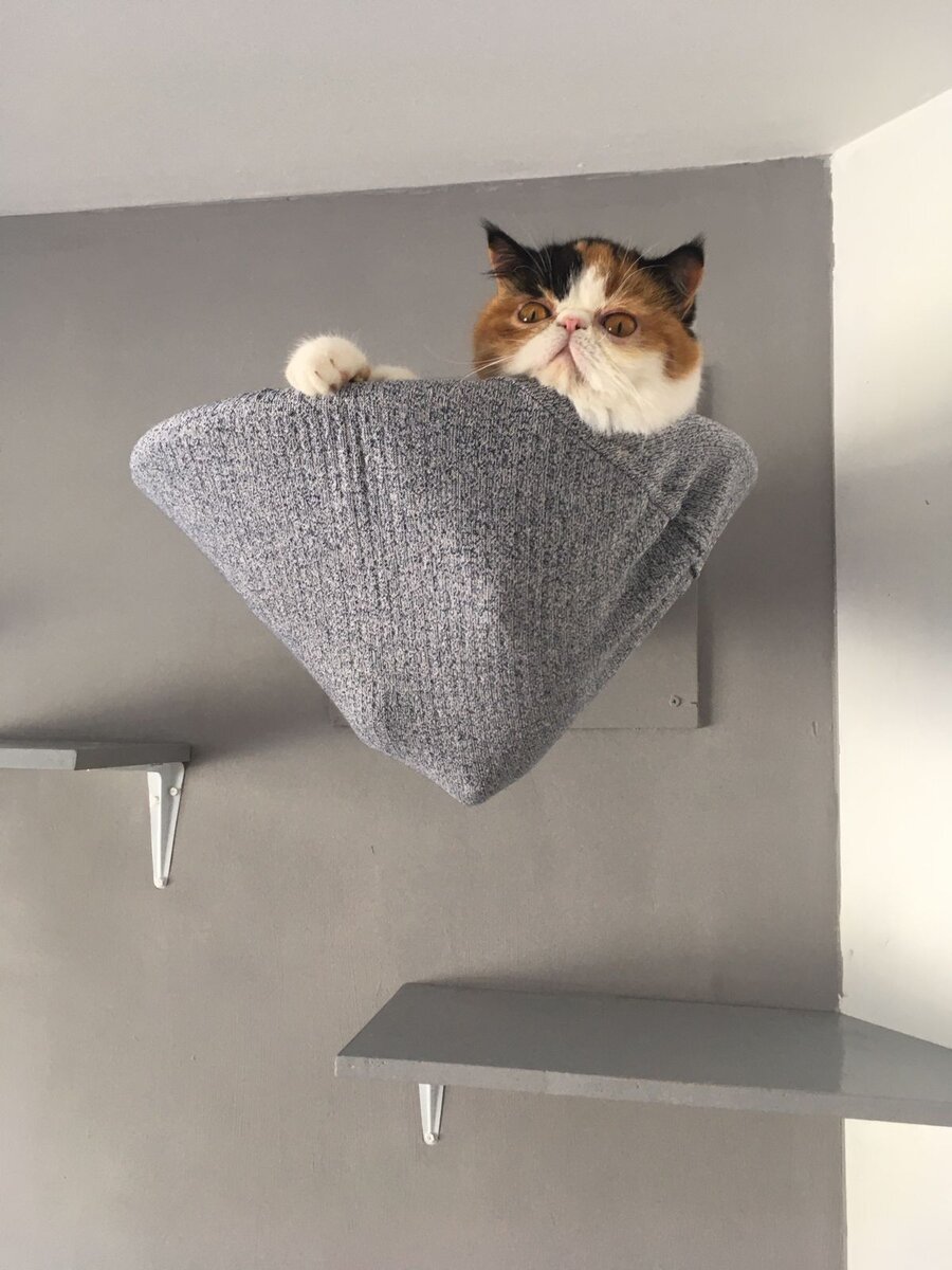 Соня — интроверт