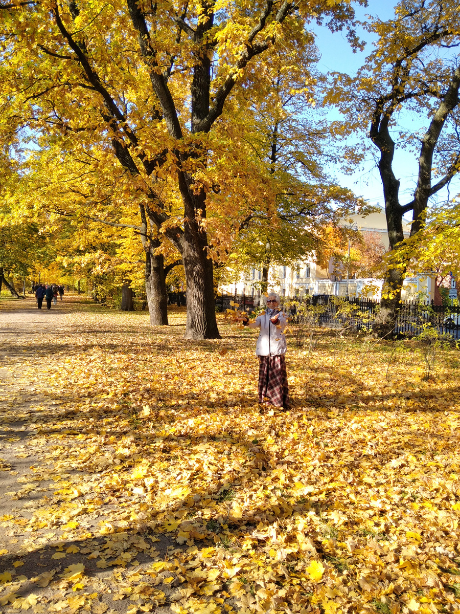 Кронштадт. В парке золотая осень.