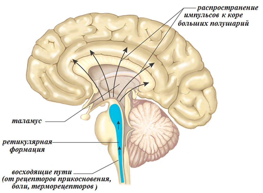 яндекс картинка