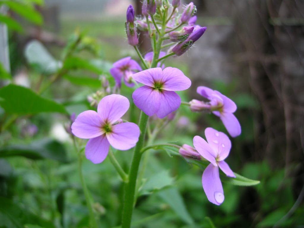 Фото автора для иллюстрации к тексту.