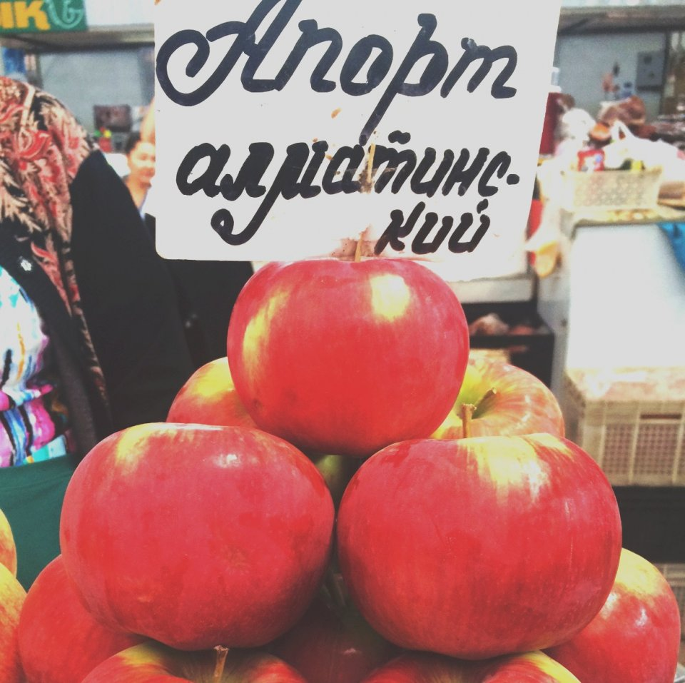 Источник http://ogorodsadovod.com