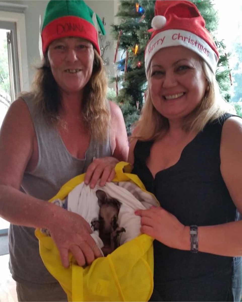 материал с моего аккаунта @katesydney88