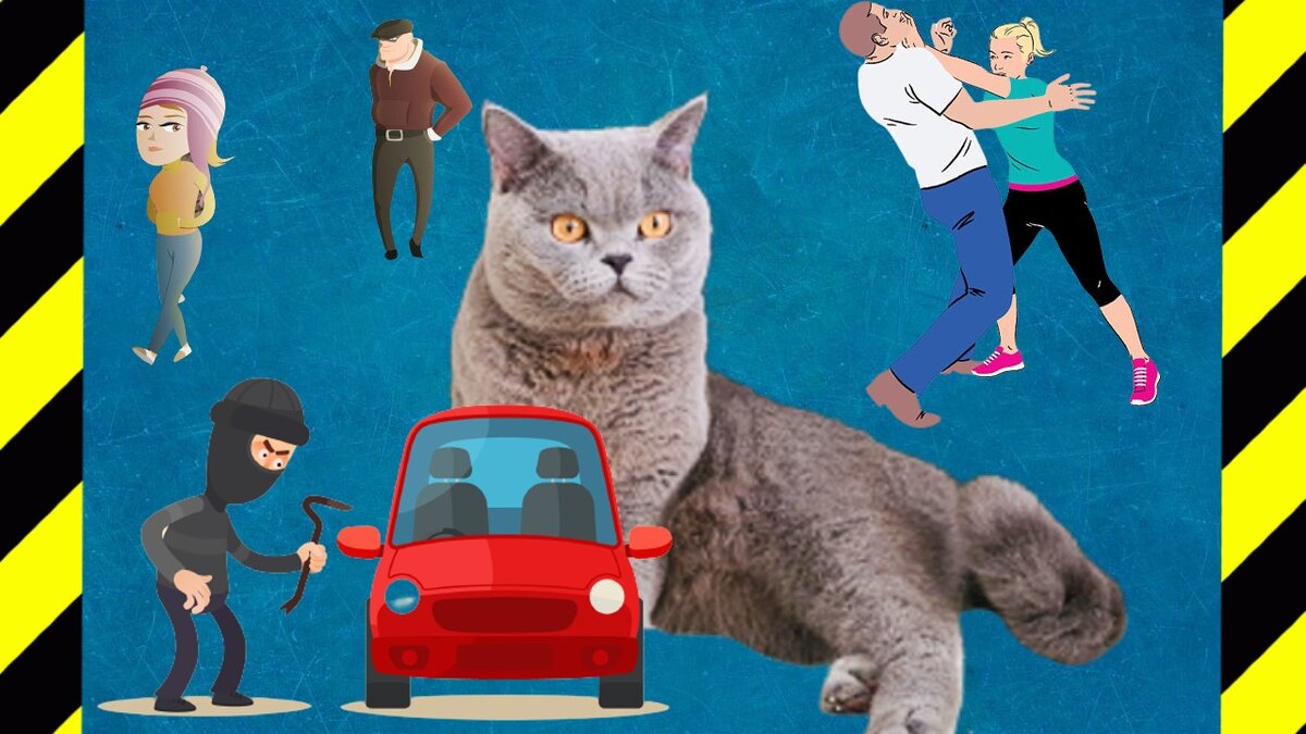 Ограбление, преследование девушки, самозащита и кот Лёня