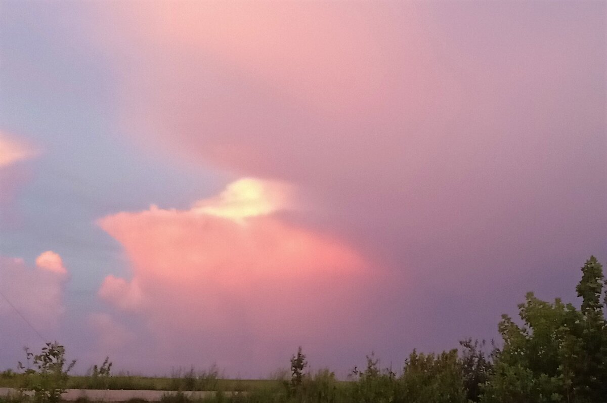 Фиолетовые сумерки. Фото автора канала.