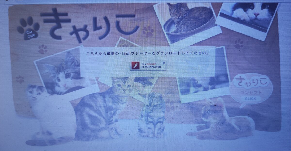 http://catcafe.jp/