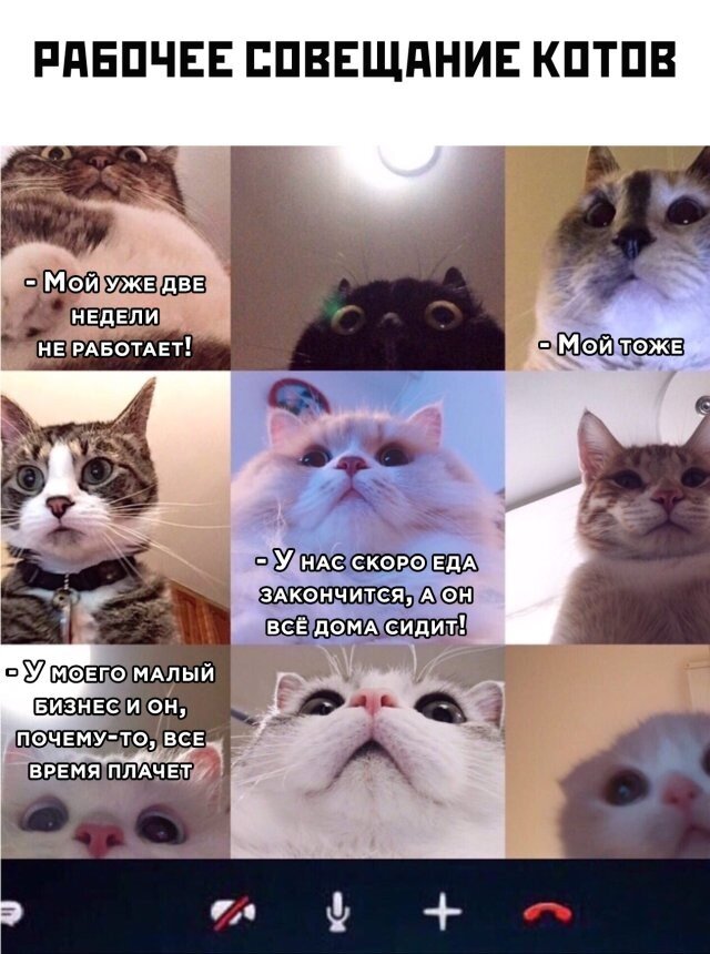 Изображение из открытых источников