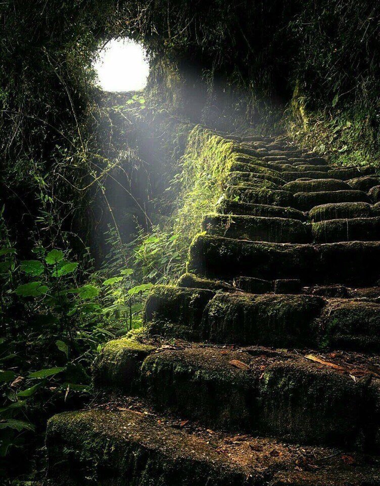 Таинства Природы. 