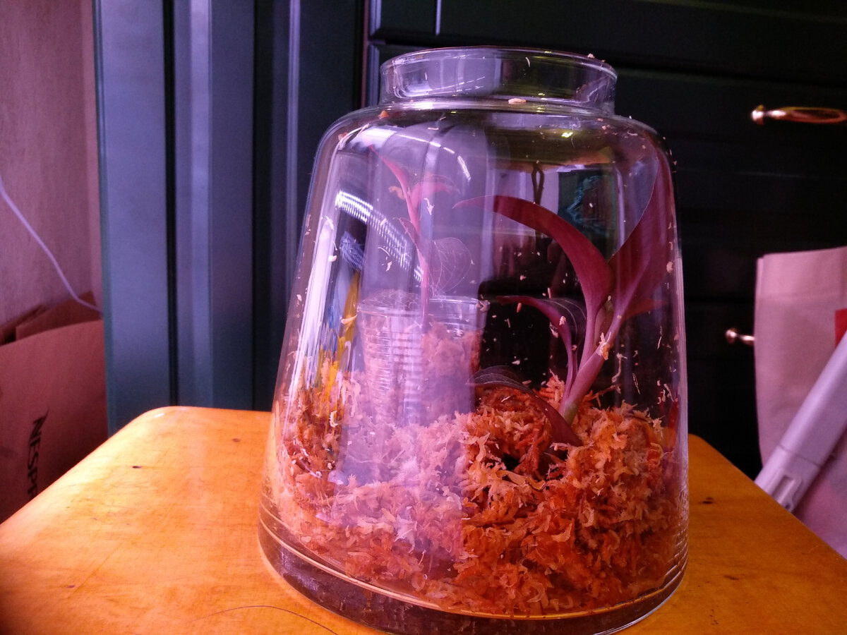 Фото ужасное, знаю, но не терпится показать