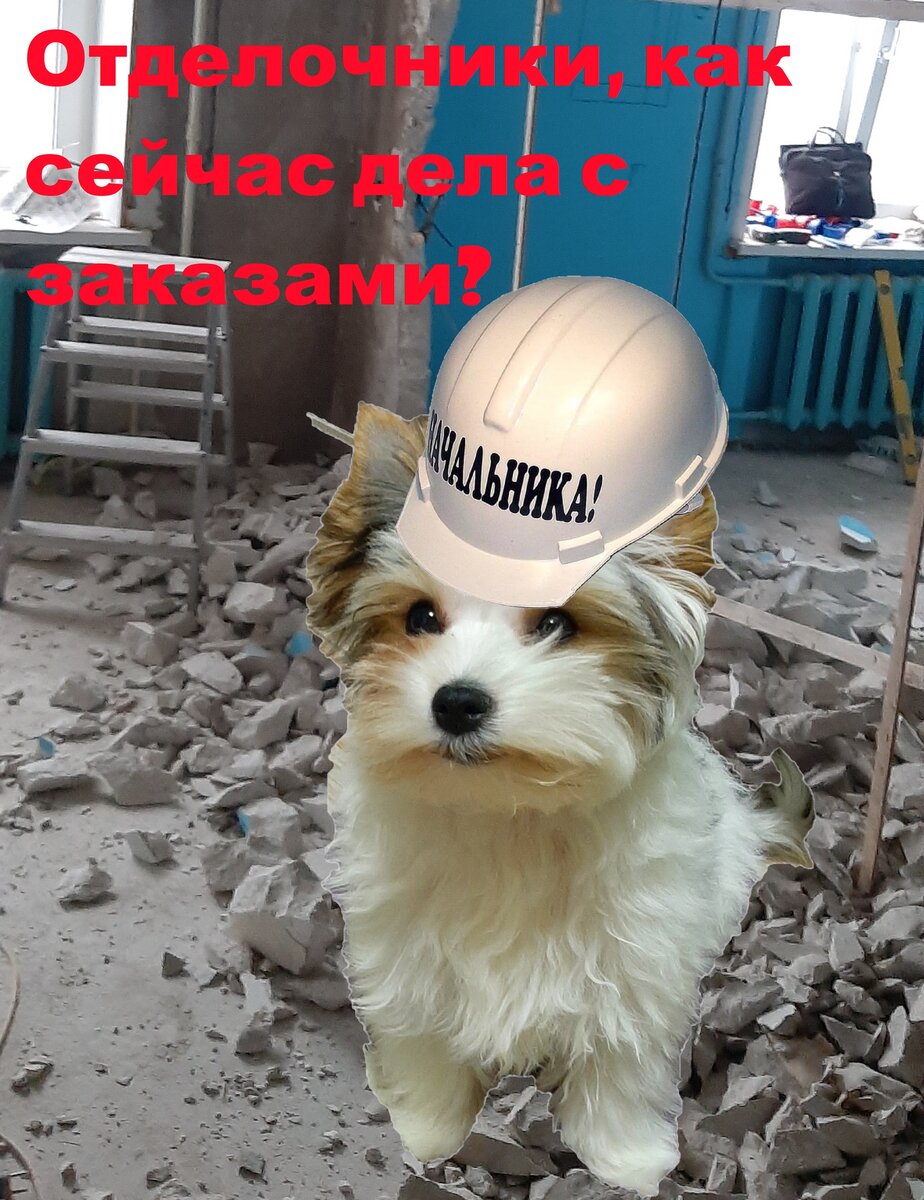 Поделитесь мнением с Начальника!