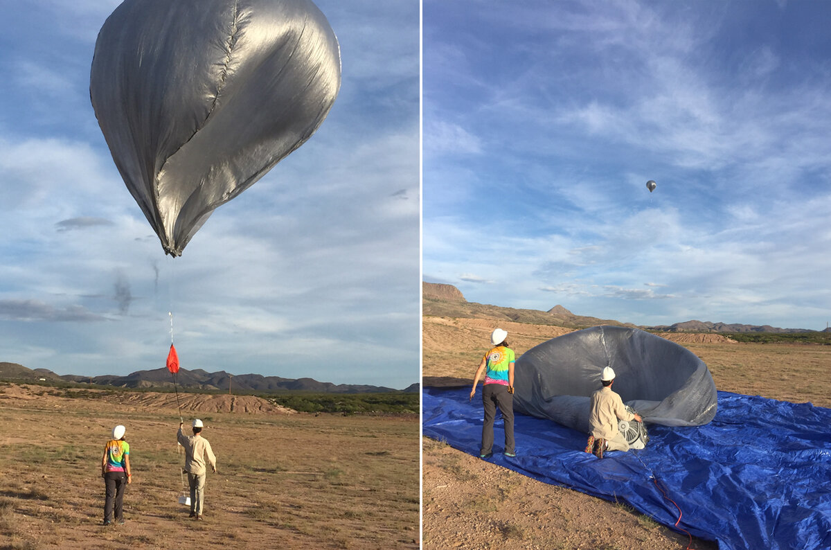 Взято: https://www.science.org