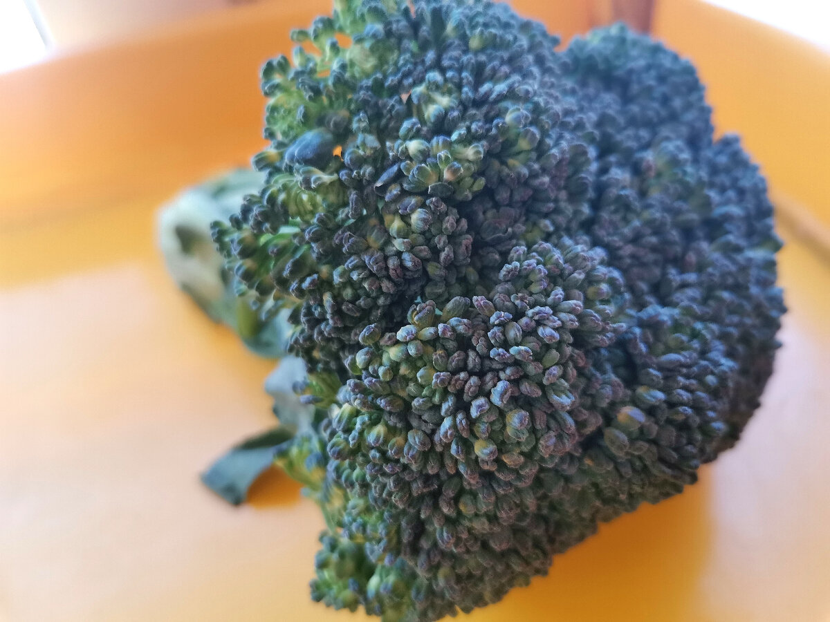 🥦🥦🥦
