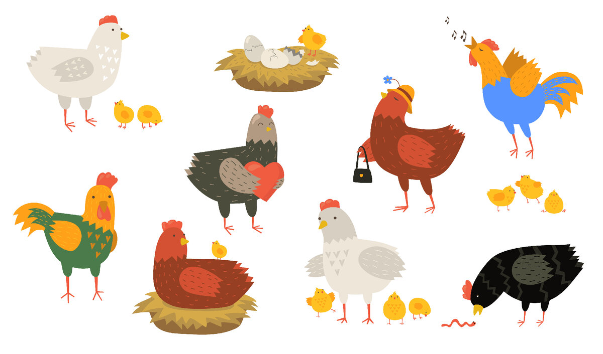 https://ru.freepik.com/free-vector/cute-hens-and-roosters-set_9174528.htm#query=%D0%BA%D1%83%D1%80%D0%BE%D1%87%D0%BA%D0%B0&position=3&from_view=search