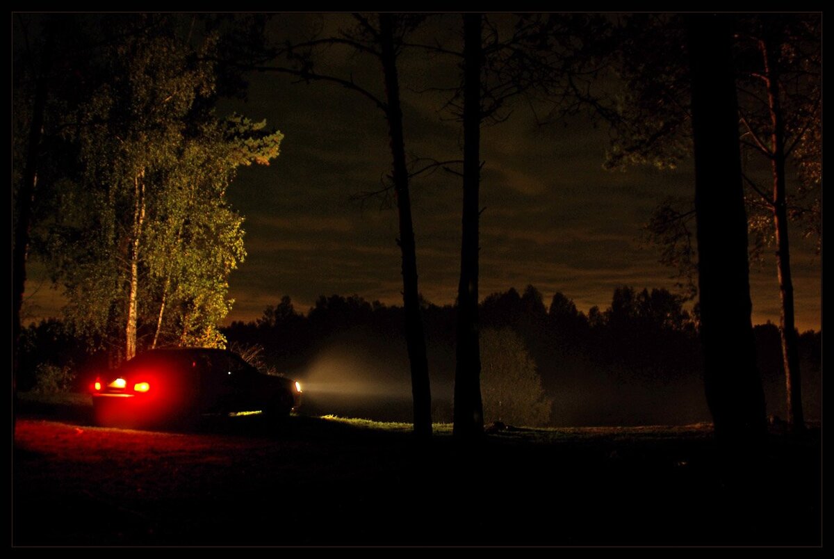 фото: из интернет-ресурса