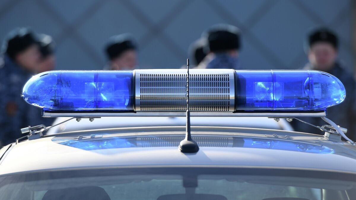    Полицейский автомобиль© РИА Новости / Максим Богодвид