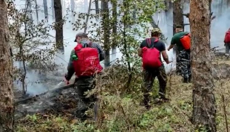 Фото: ГУ МЧС России по Ростовской области